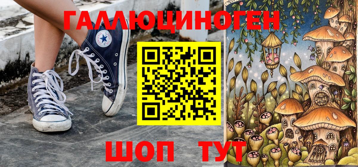 Гай  Галлюциногенные грибы Psilocybine cubensis  Вход с VPN 